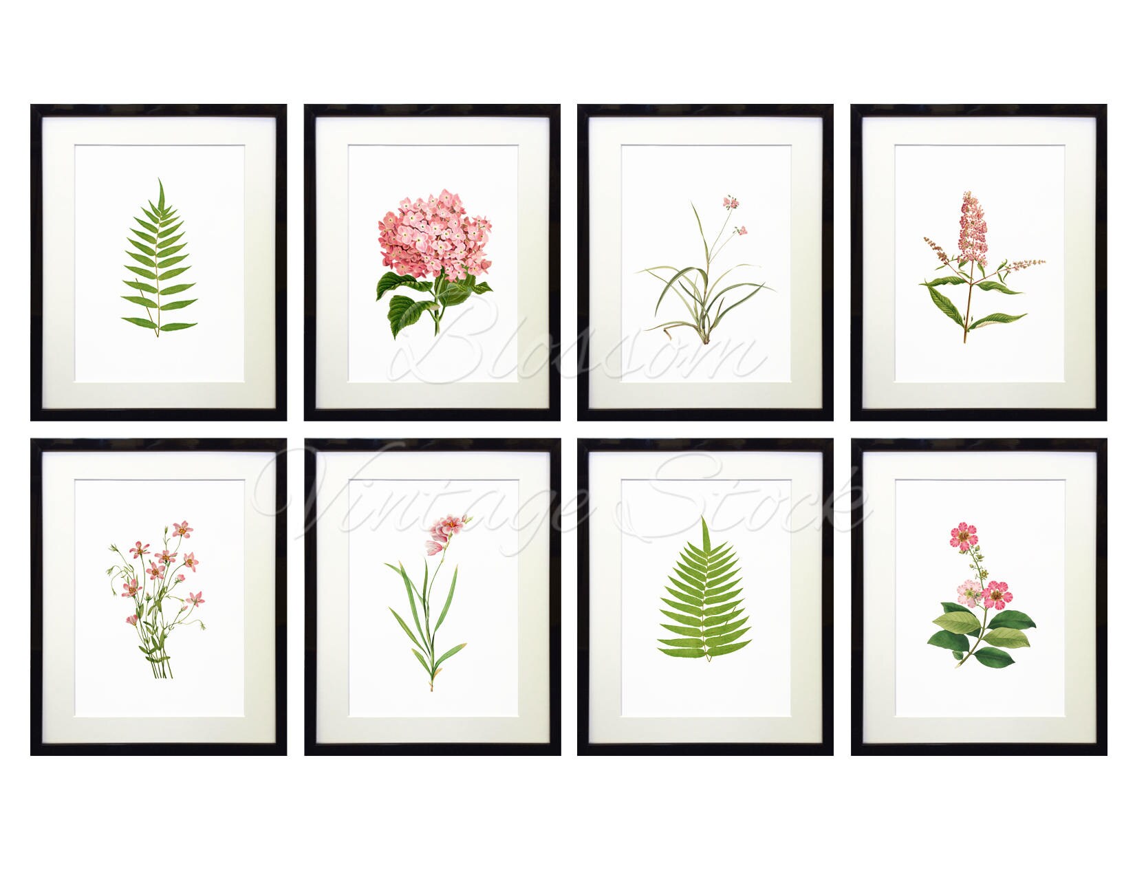 Pink Flower Wall Art Wall Decor Prints Floral Wall Art Etsy