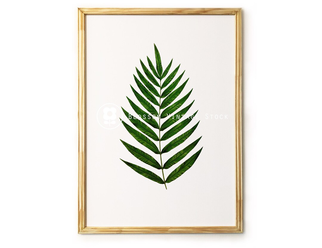 Botanical Printable Leaf Botanical Print Green Leaves - Etsy