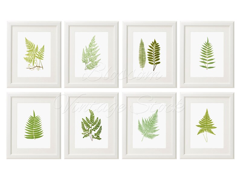 Botanical Printable Set of 8 Leaves Prints Wall Art Leaf - Etsy