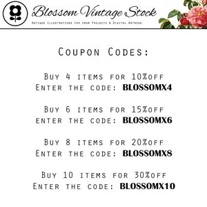 Botanical Print Red Tulip Digital Image Vintage Graphic | Etsy