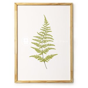 Botanical Printable Fern, Foliage Botanical Leaf Print, Digital Image ...