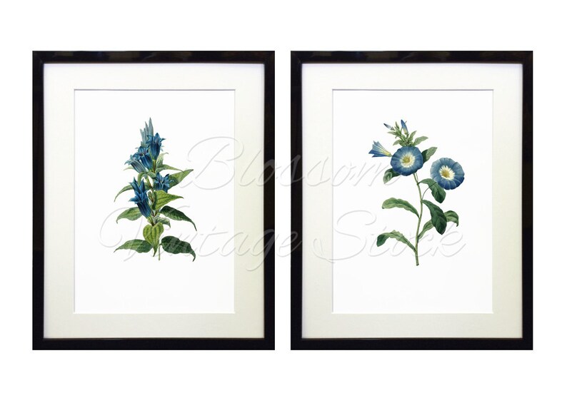 Botanical Printable Art Blue Flowers Botanical Flowers | Etsy