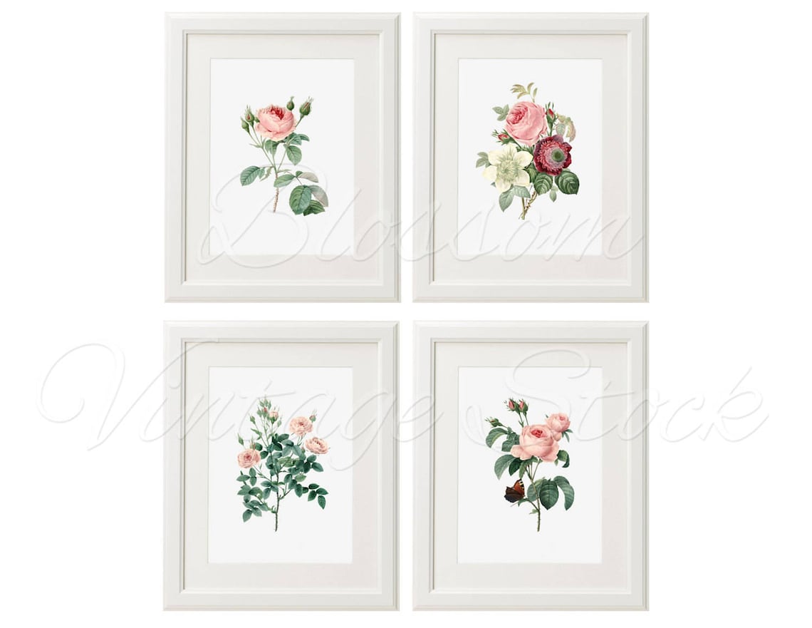 Vintage Roses Prints Wall Art Decorative Rose Prints INSTANT Etsy