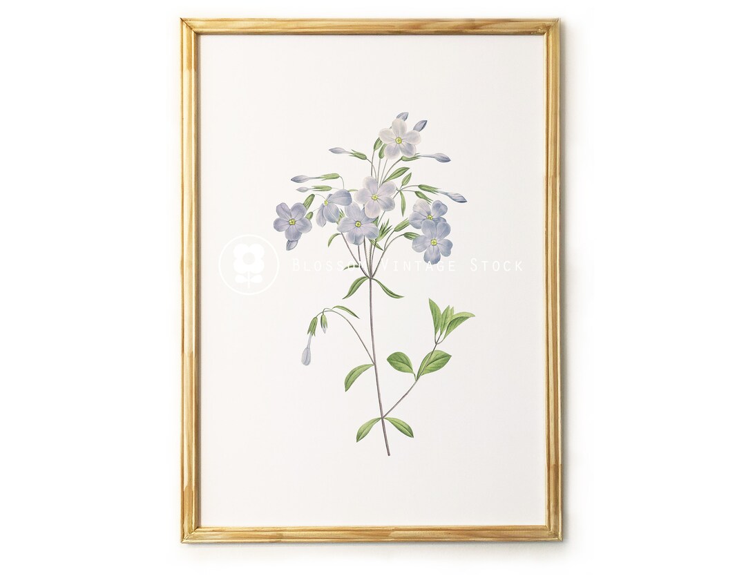 Light Blue Flower Wall Art Printable Antique Vintage Flower, Antique