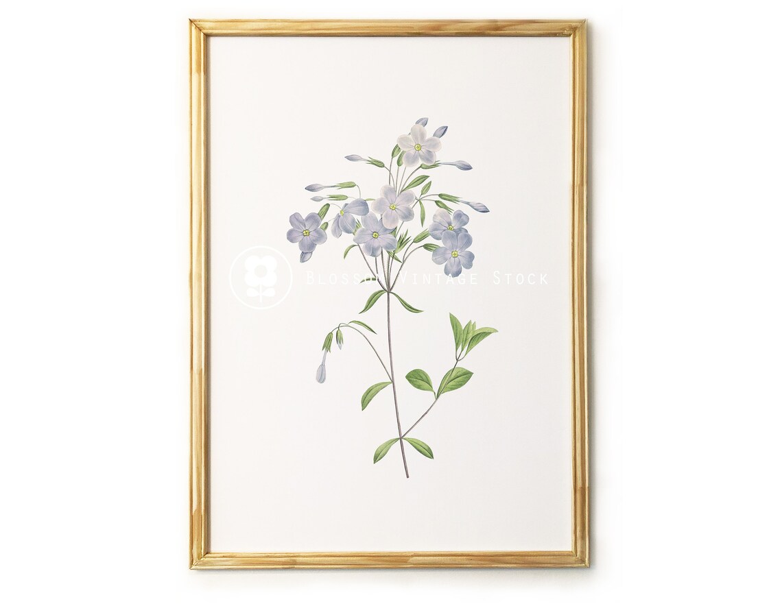 Light Blue Flower Wall Art Printable Antique Vintage Flower Etsy