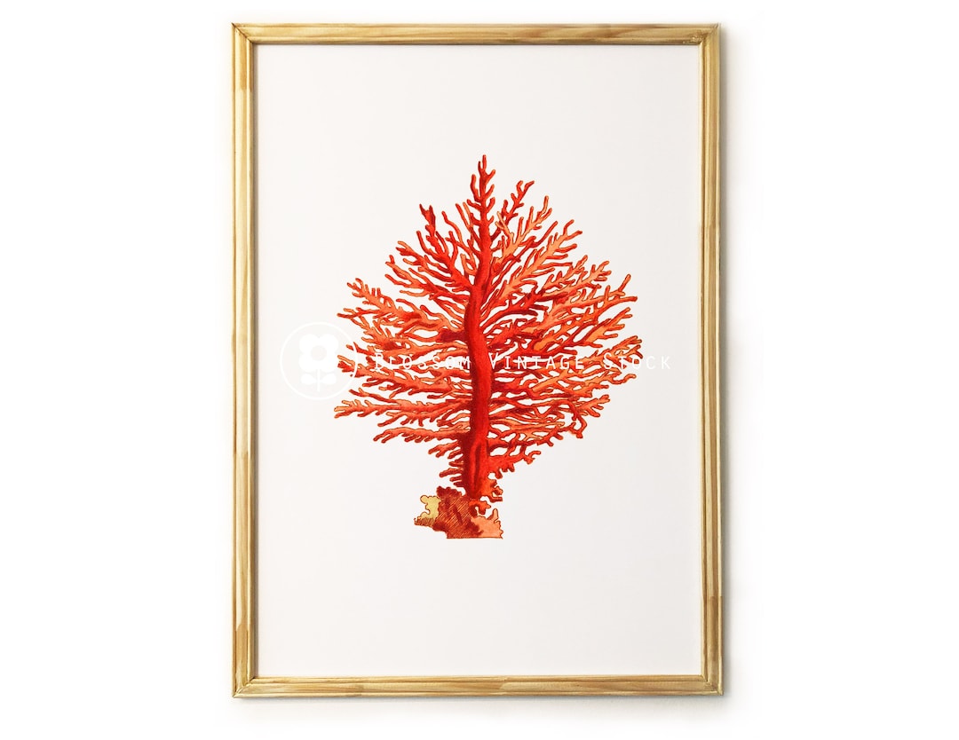 Sea Coral Printable Wall Decor Sea Fan Coral Clipart, Digital Image