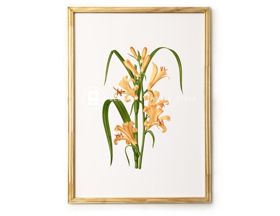 Botanical Printable INSTANT DOWNLOAD Botanical Printable Art | Etsy