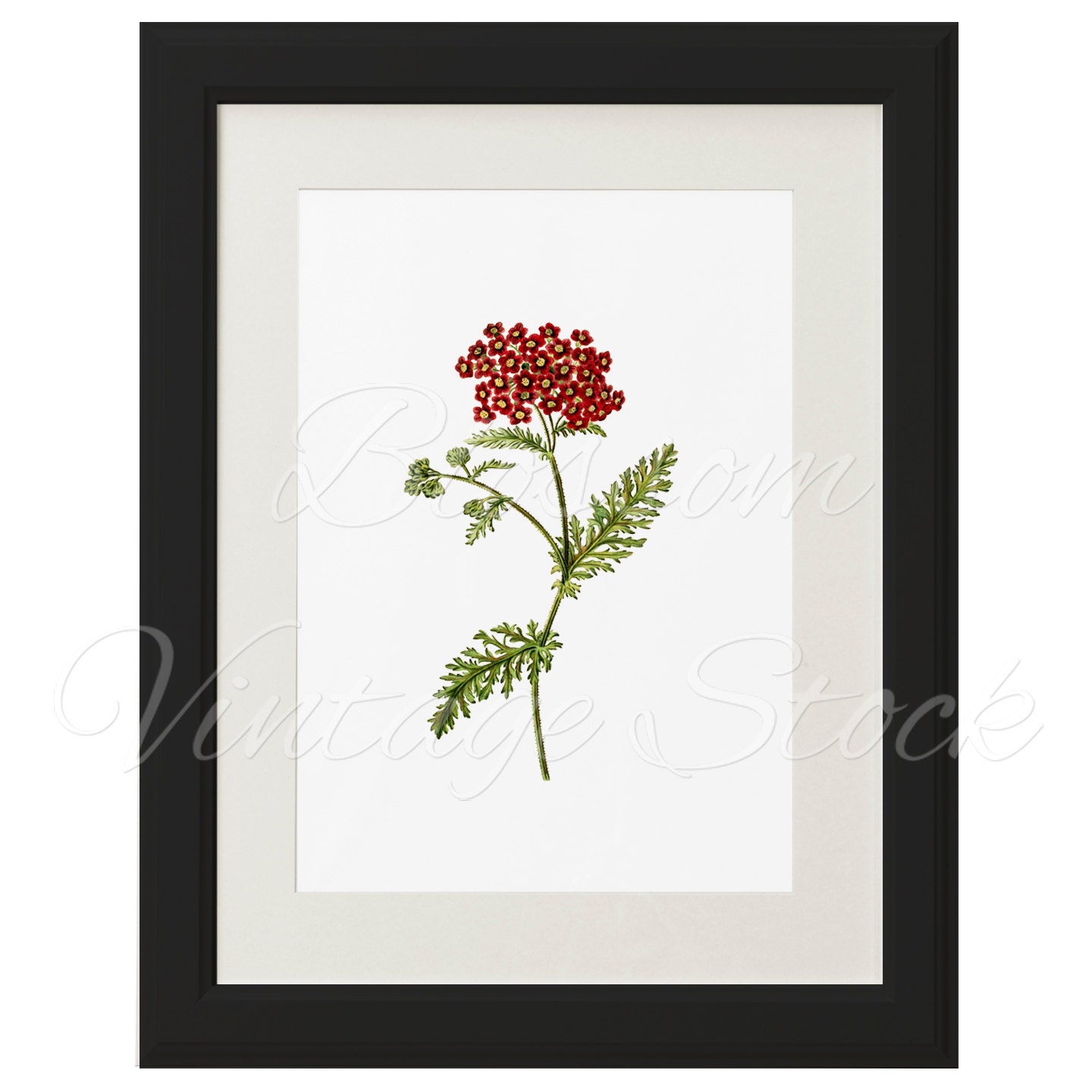 Flower Print Flower wall art print floral decor vintage Etsy