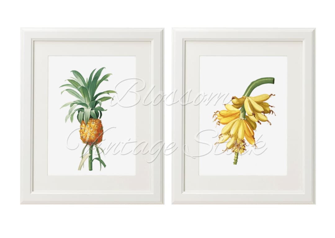 Fruits Printable Set Botanical Prints Fruit Illustrations - Etsy