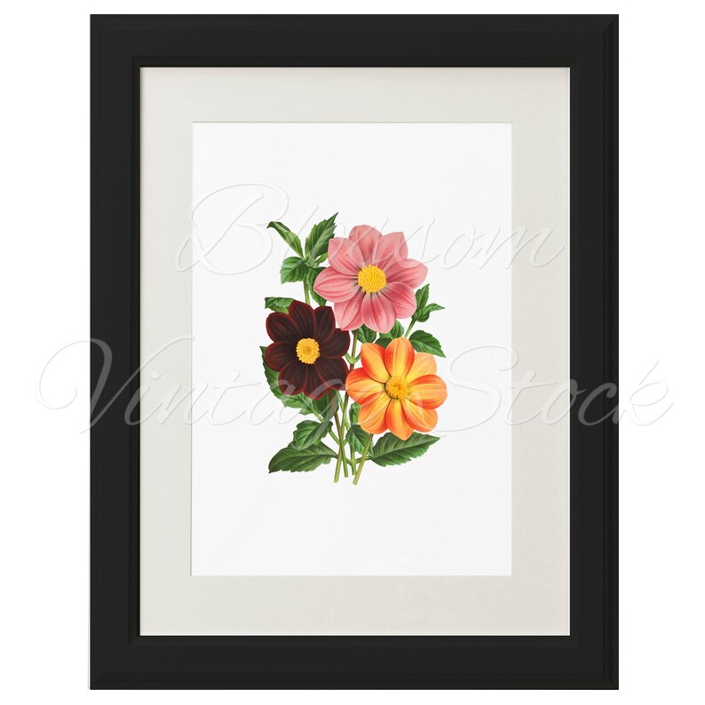 Floral Wall Art Print Vintage Flower Print Vintage Flower Etsy