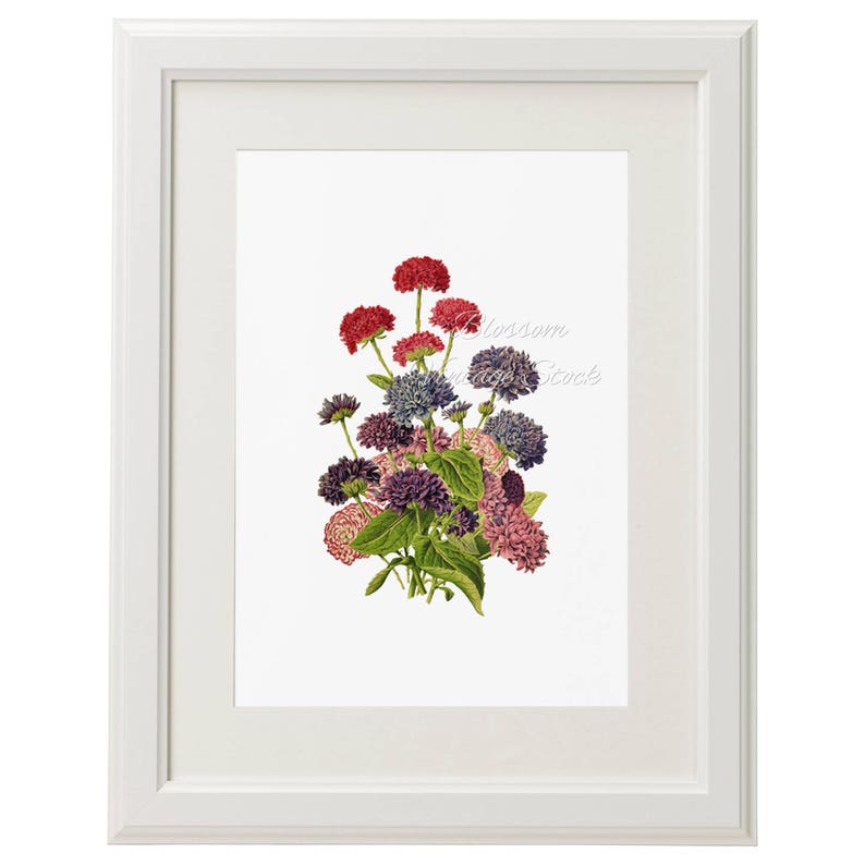 Botanical floral Vintage Print Art poster Wall art home Etsy
