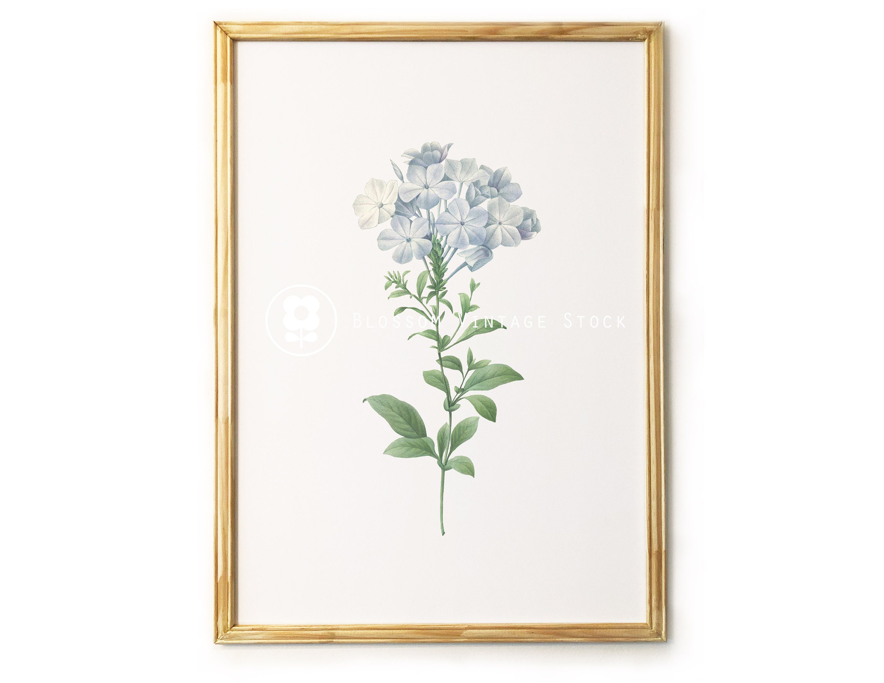 Light Blue Flowers Botanical Print Botanical Printable Art | Etsy