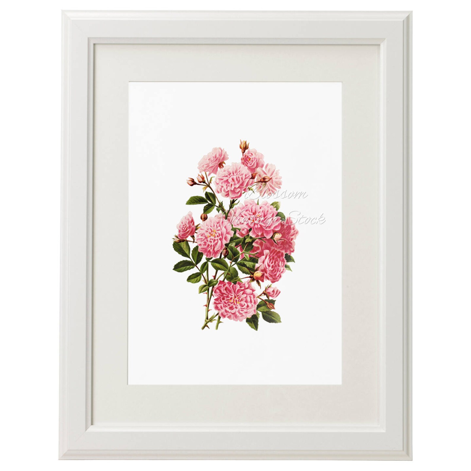 Wall Art Prints Pink Flowers Print Botanical Digital Image Etsy