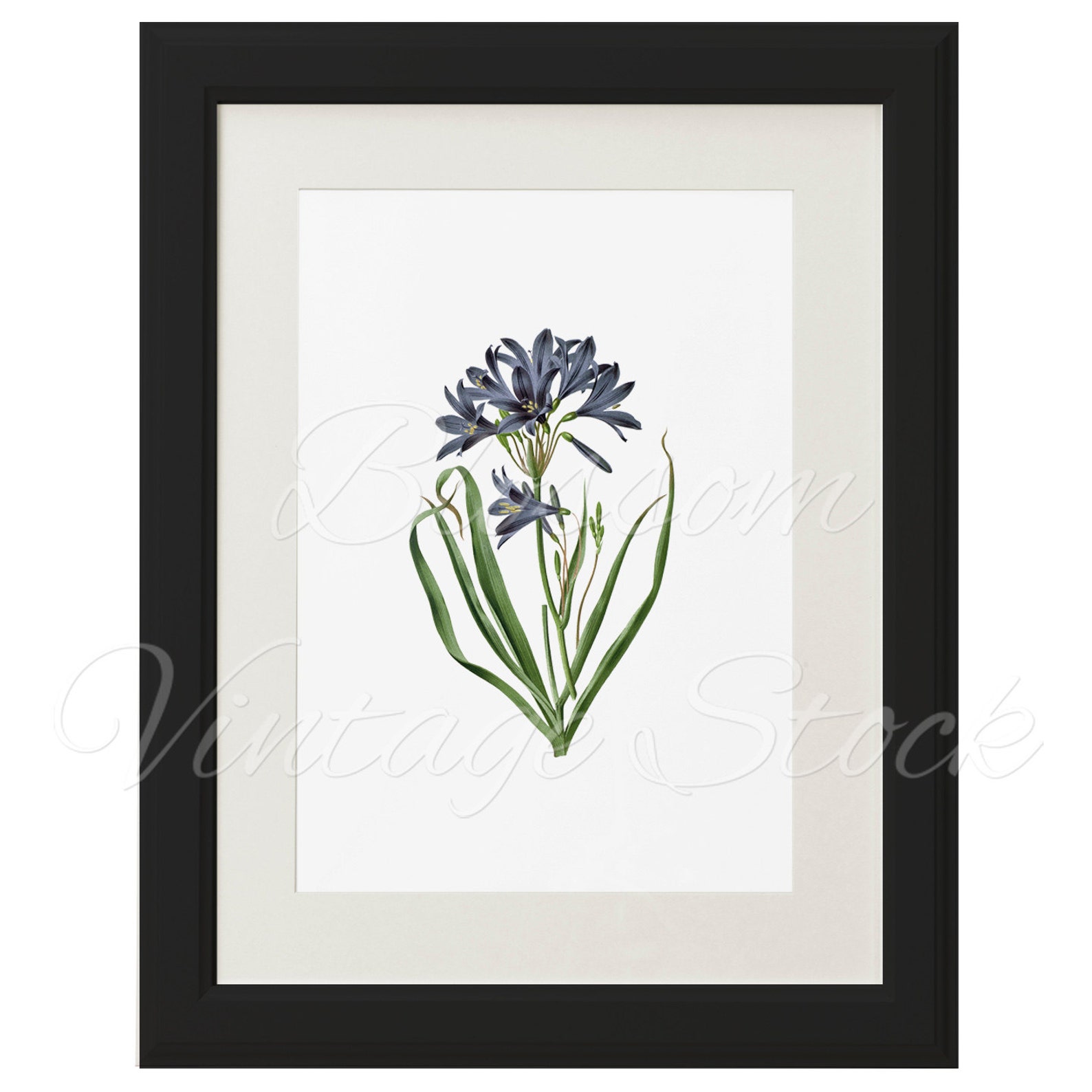 Blue Floral Art Botanical Printable Wall Decor Vintage Etsy