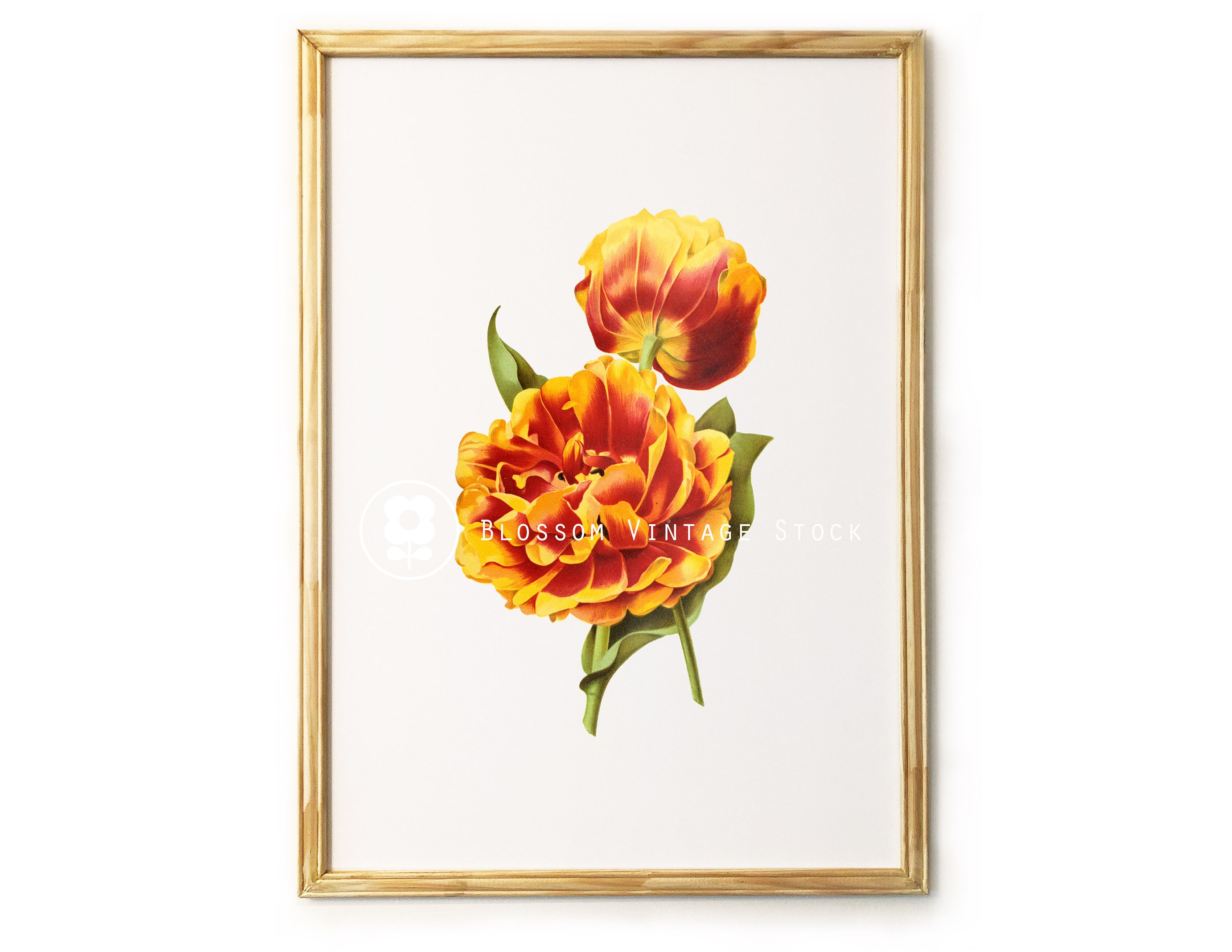 Orange Flower Print Flower Wall Art Floral Decor Vintage Etsy