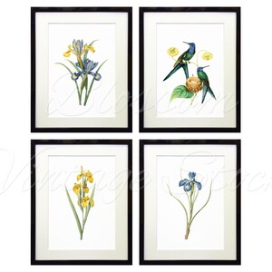 Botanical Printable Set Blue Botanical Set INSTANT DOWNLOAD - Etsy