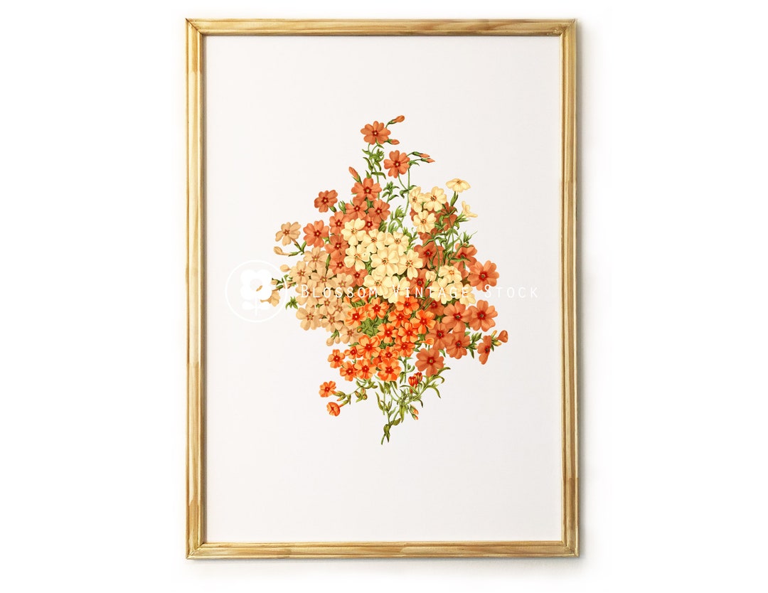 Flower Print, Vintage Flower Print, Floral Wall Art, Vintage Flower