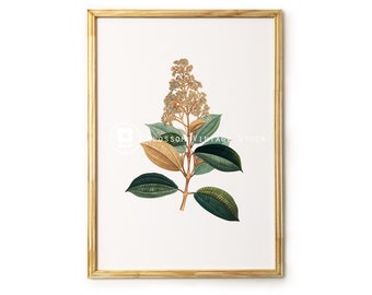 Plants Botanical Print, Green Botanical Leaves, Botanical Digital Image, PNG Image for printing, digital artwork - INSTANT DOWNLOAD - 1542