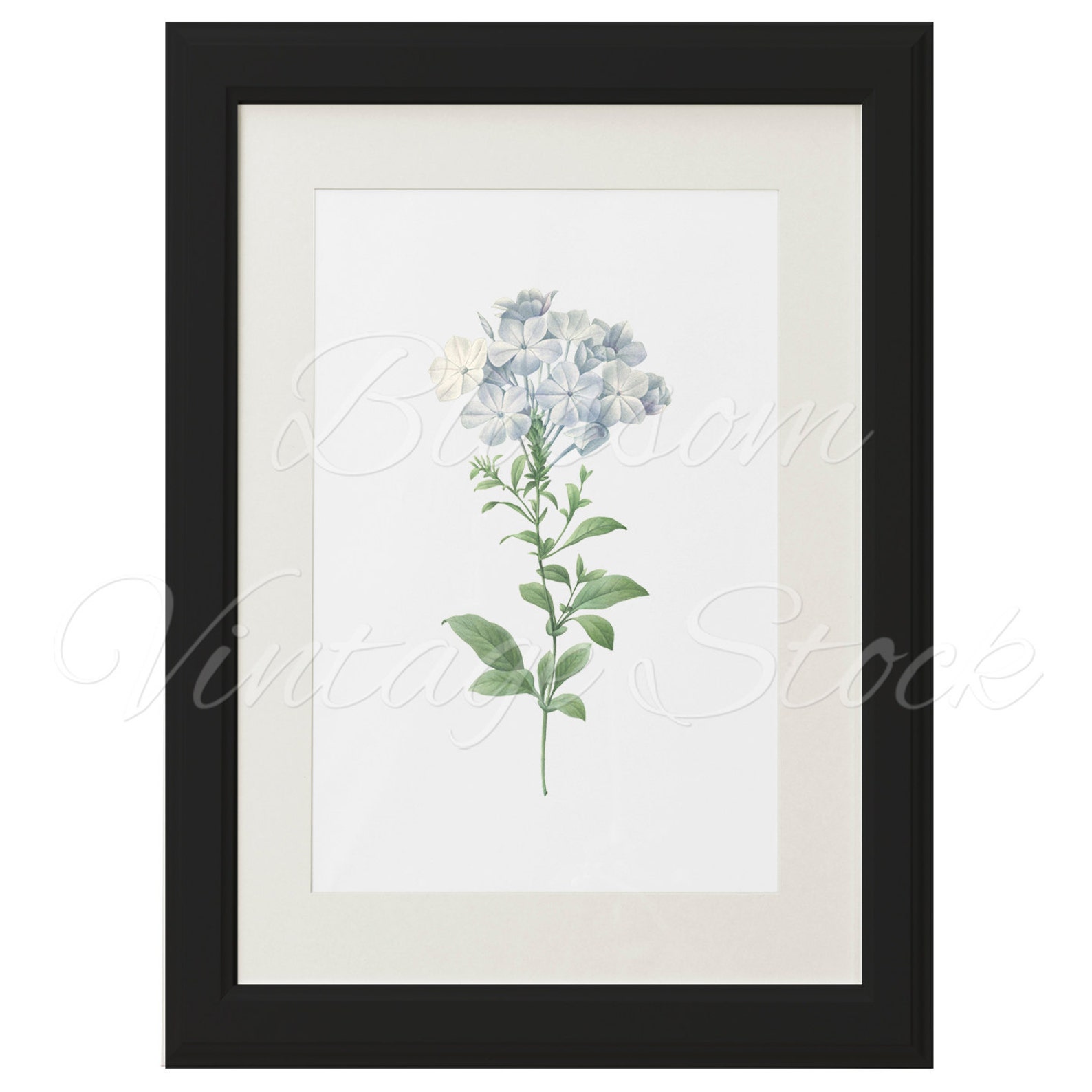 Light Blue Flowers Botanical Print Botanical Printable Art | Etsy