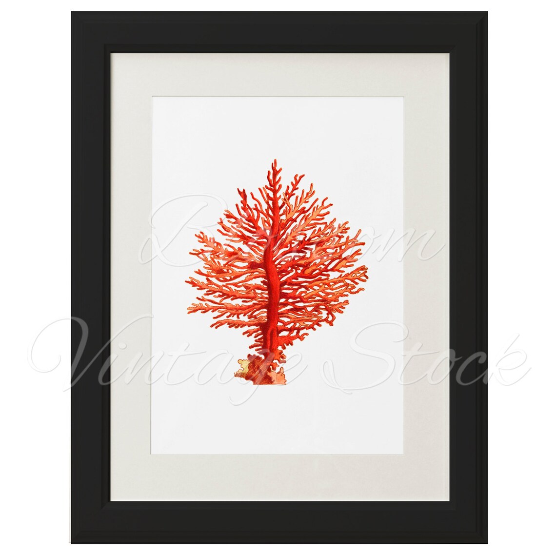 Sea Coral Printable Wall Decor Sea Fan Coral Clipart Digital | Etsy