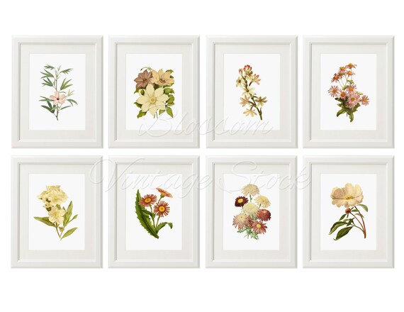 Botanical Printable Set Flowers Botanical Prints Flower Wall | Etsy