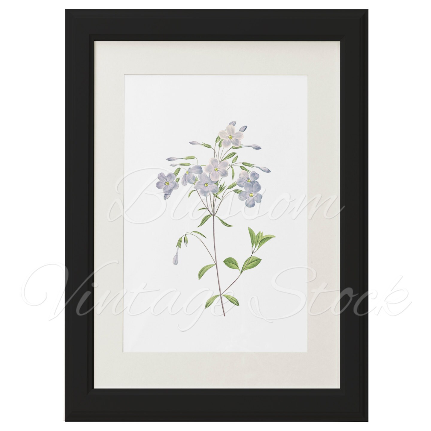 Light Blue Flower Wall Art Printable Antique Vintage Flower Etsy