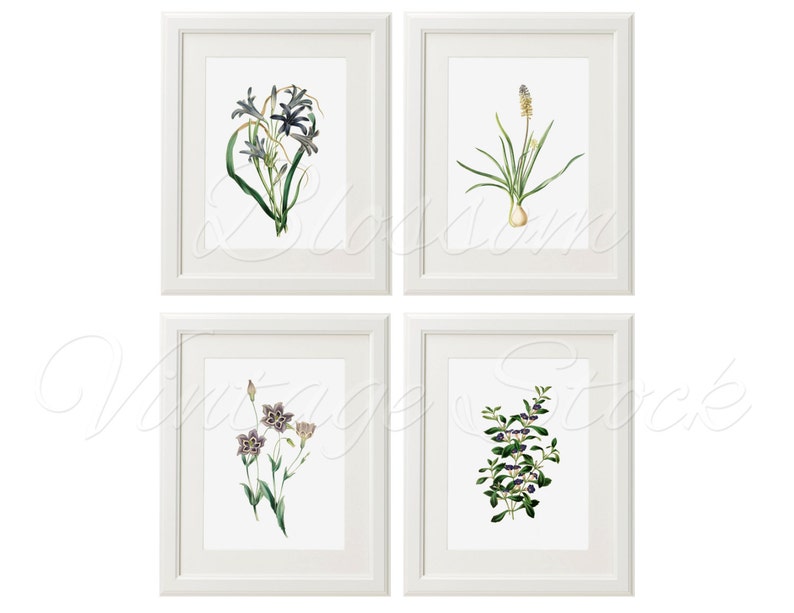 Botanical Printable Set Blue Flowers Prints INSTANT DOWNLOAD | Etsy