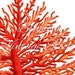 Sea Coral Printable Wall Decor Sea Fan Coral Clipart, Digital Image ...
