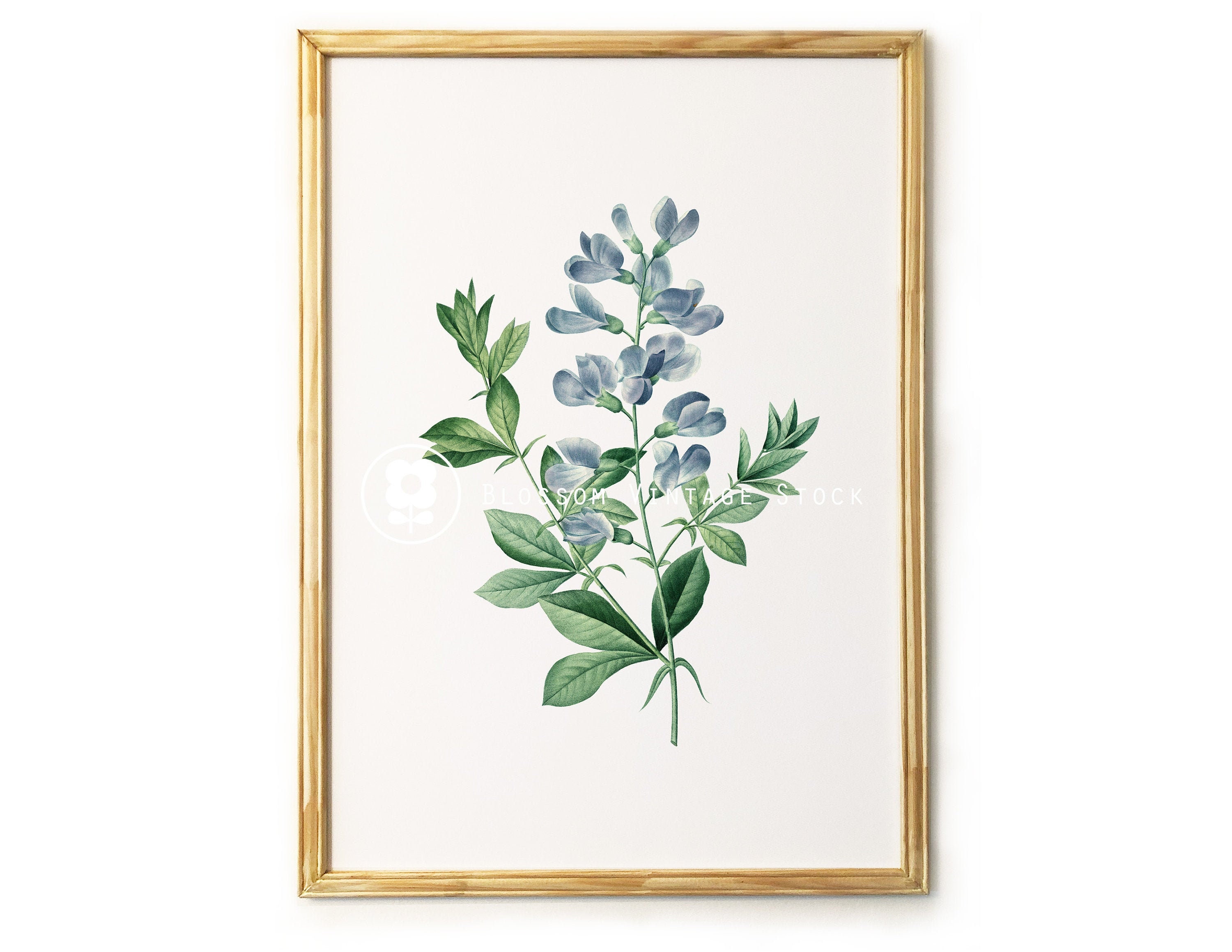 Blue FLOWERS Printable Wall Art Set of 3 Botanical Prints Etsy