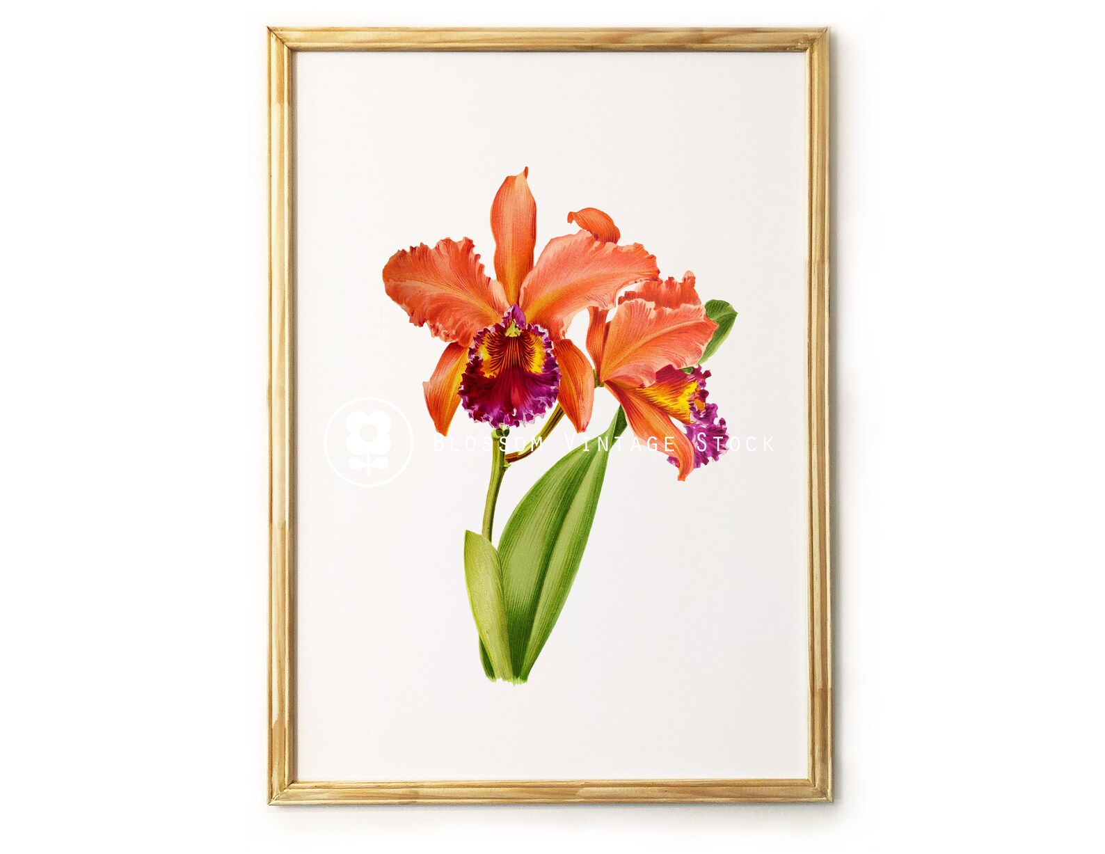Orchid Printable Illustration Botanical Flower wall art | Etsy