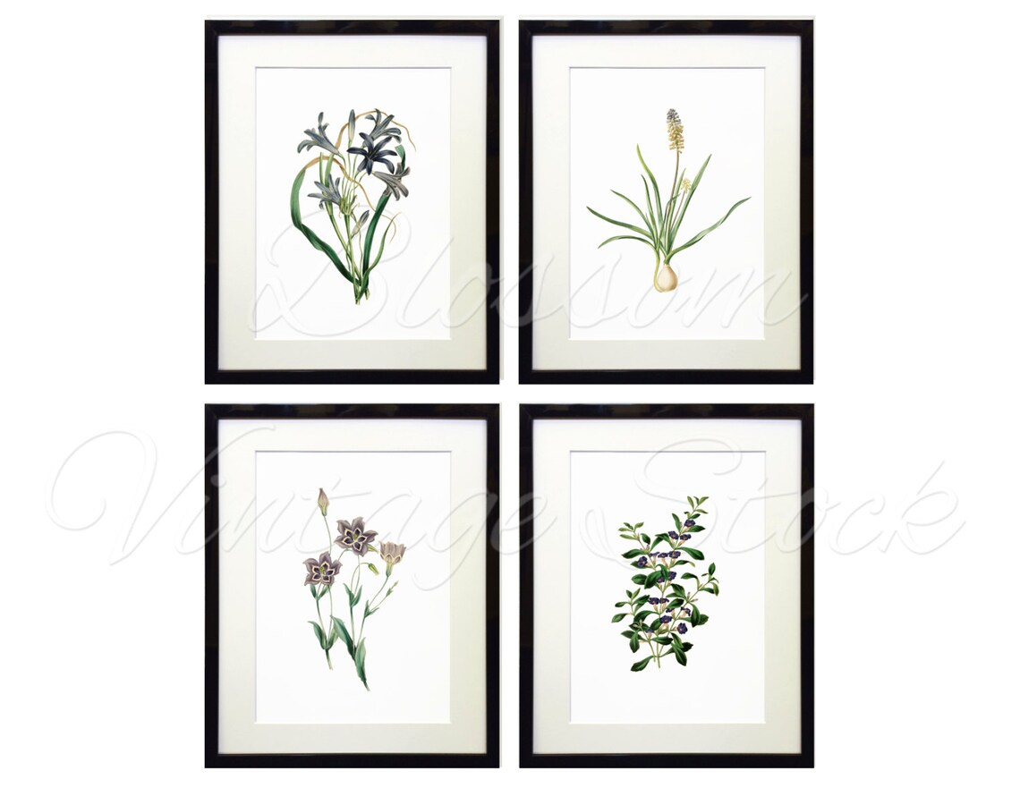 Botanical Printable Set Blue Flowers Prints INSTANT DOWNLOAD | Etsy
