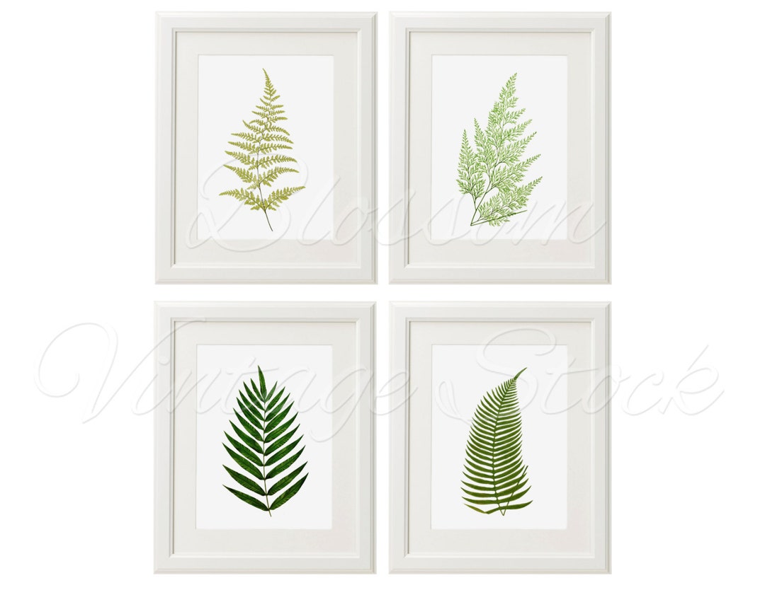 Botanical Printable Set Leaves Fern Botanical INSTANT DOWNLOAD Digital ...