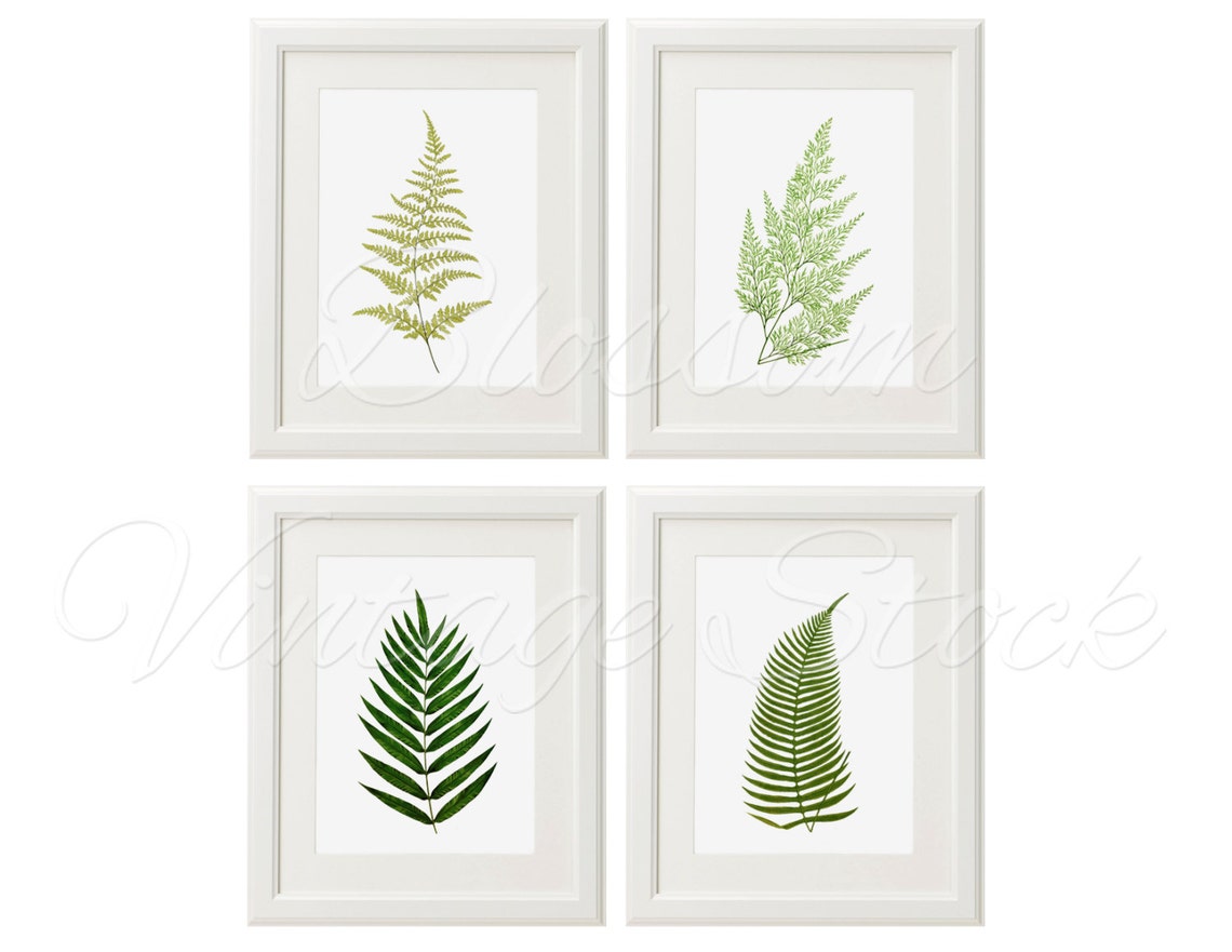 Botanical Printable Set Leaves Fern Botanical INSTANT DOWNLOAD | Etsy