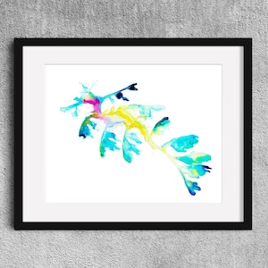 Beautiful hybrid - Fine Art Print watercolor painting - Leafy seadragon gift - Seahorse watercolor - seadragon painting - seahorse art