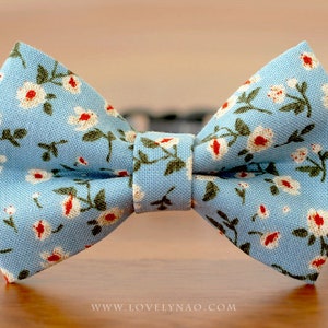 Blooming Dahlia Cat Bow Tie Collar – Blue