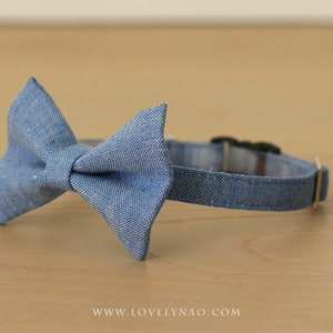 Denim Cat Bow Tie Collar Blue image 2