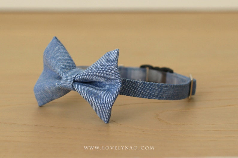 Denim Cat Bow Tie Collar Blue image 2