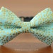 see more listings in the Bow Tie : BLUE section