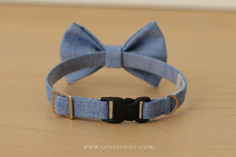 Denim Cat Bow Tie Collar Blue image 3