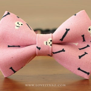 Halloween Cat Bow Tie Collar – Skulls & Bones image 5