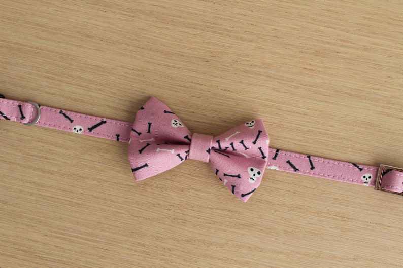 Halloween Cat Bow Tie Collar – Skulls & Bones image 3