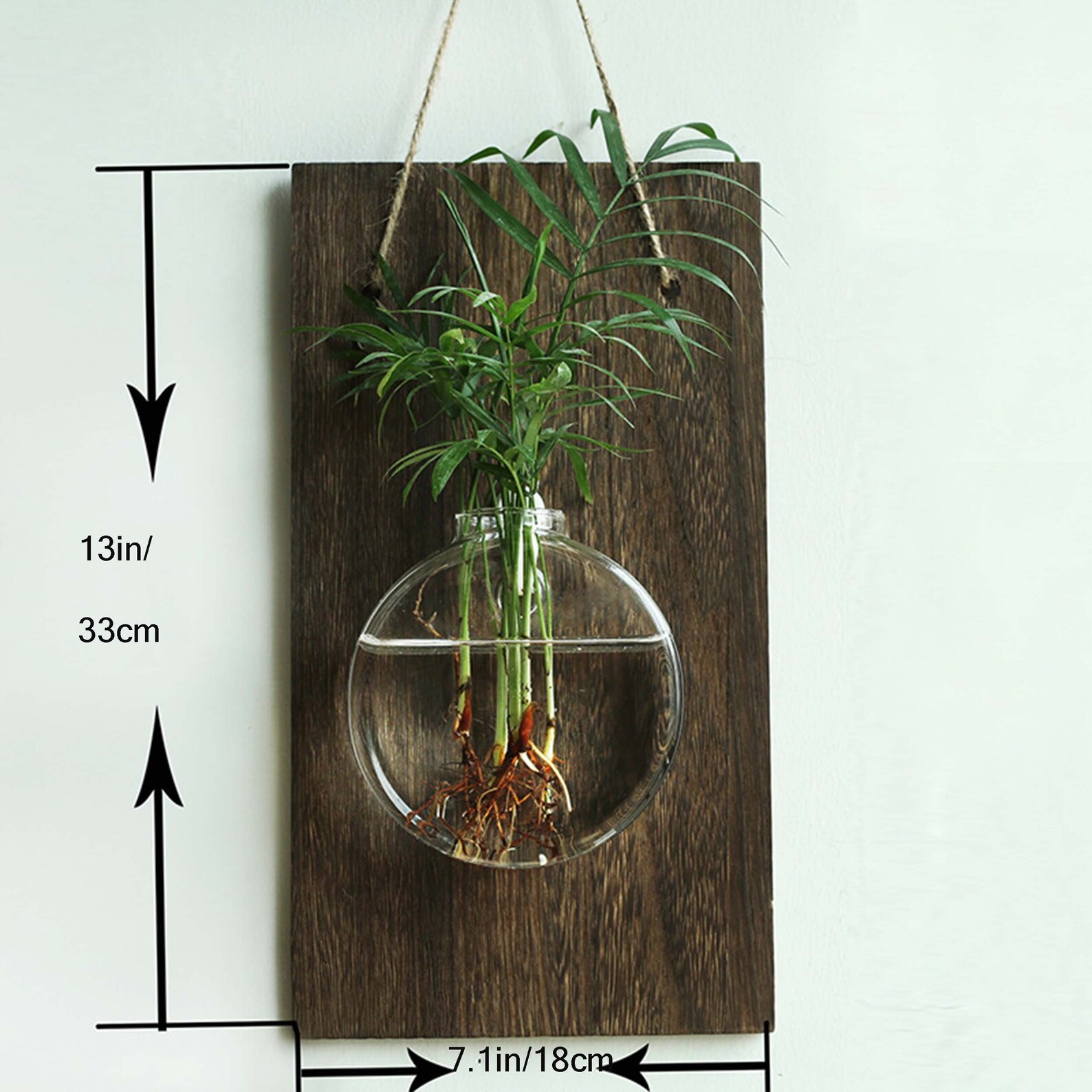 Wall Hanging Glass Planter Plant Terrarium Flower Bud Hanger Etsy