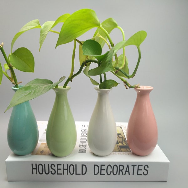 Pastel Mini Ceramic Bud Vases, furnishing Cute Centerpieces Small Flower Vases Growing Plants Floral Miniature Decor