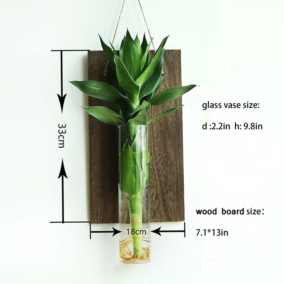 Wall Hanging Glass Planter Plant Terrarium Flower Bud Hanger Etsy