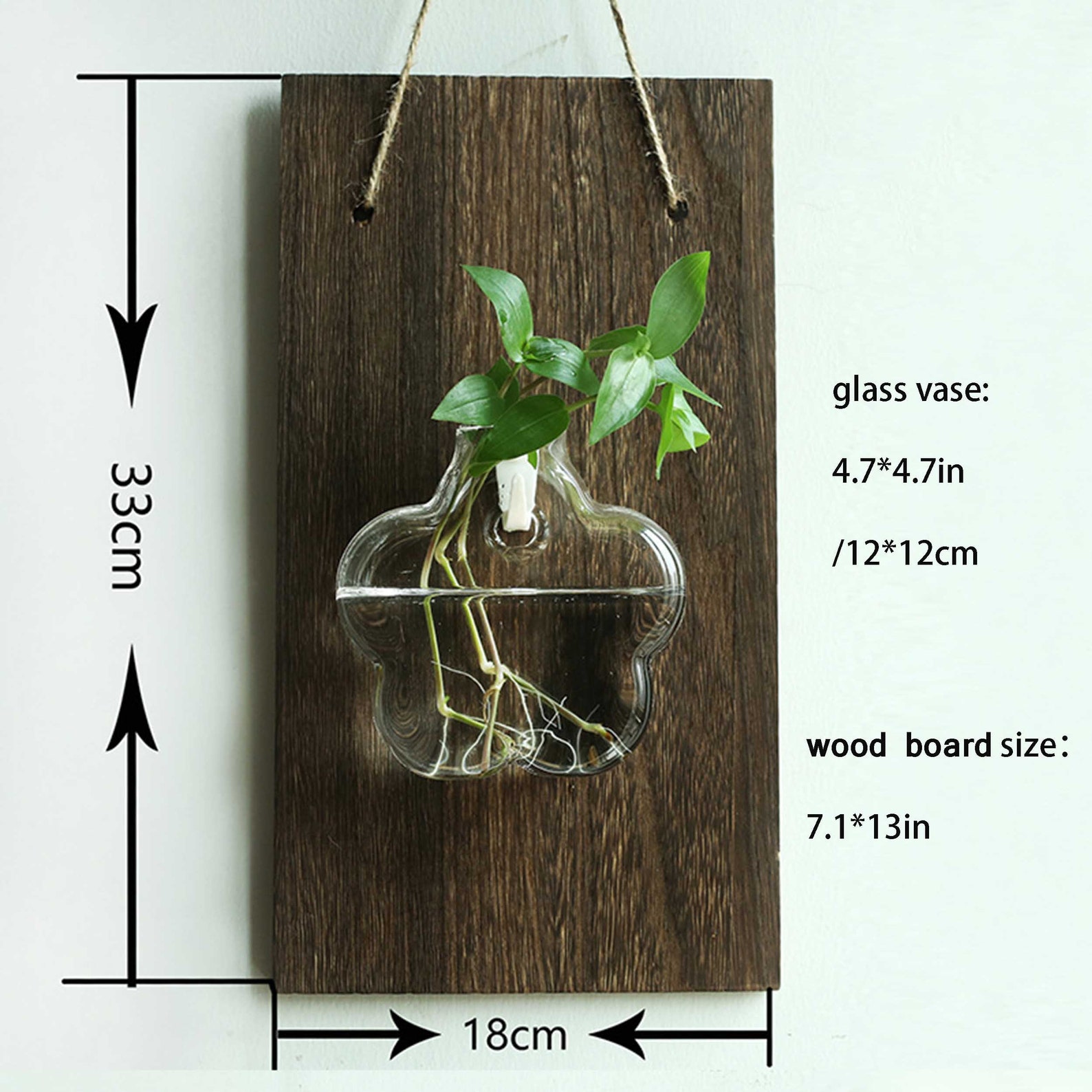 Wall Hanging Glass Planter Plant Terrarium Flower Bud Hanger Etsy