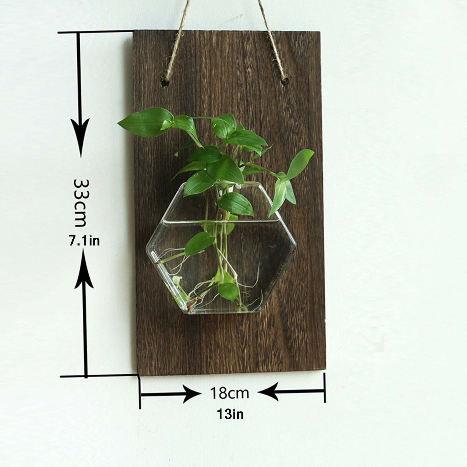 Wall Hanging Glass Planter Plant Terrarium Flower Bud Hanger Etsy