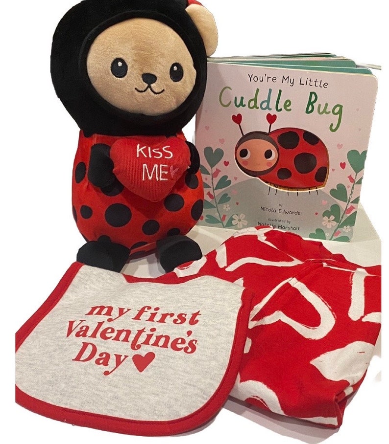 Valentines Day Gift Basket, Babys First Valentines Day Gift, Baby