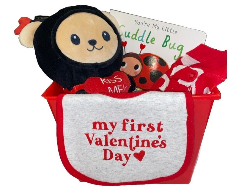 Valentines Day Gift Basket, Babys First Valentines Day Gift, Baby