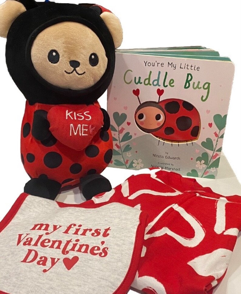 Valentines Day Gift Basket, Babys First Valentines Day Gift, Baby