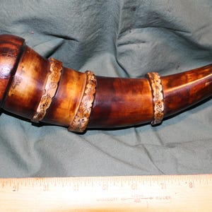 Southern Banded Powder Horn